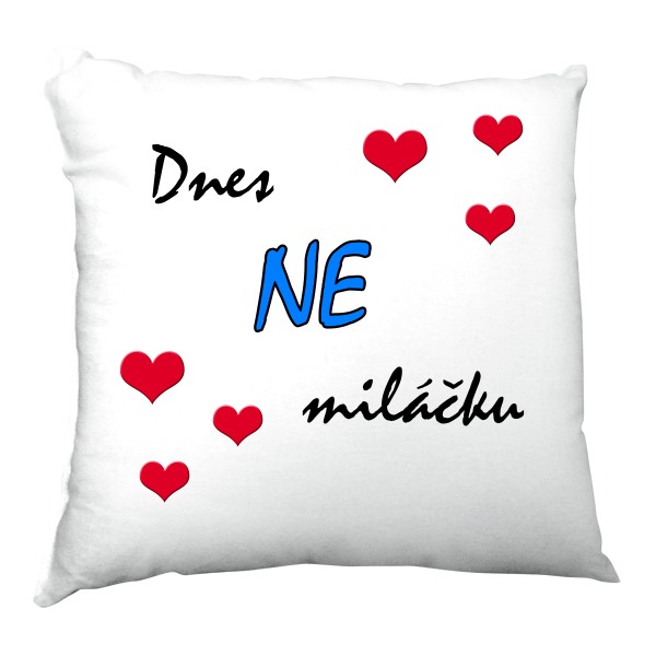Dnes ANO, Dnes NE